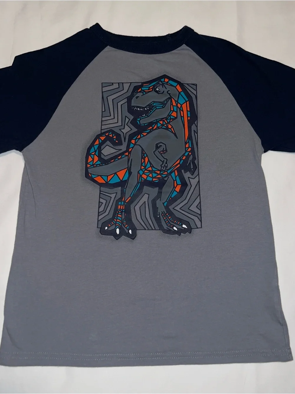 The Children's Place Gray and Navy Raglan Tee with Orange & Teal Dino